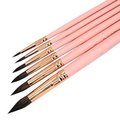 6PCS Professional Paint Brush Set  Acrylic Oil Paint Brushes Set with Ergonomic Wood Handles and Round sable hair