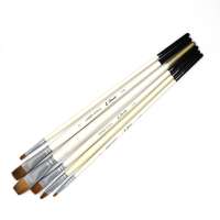 6PCS flat kolinsky Paint Brush Set  Acrylic Oil Paint Brushes Set with Ergonomic Wood Handles and wolf hair