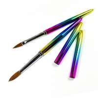 2020 New Design Rainbow handle Kolinsky hair acrylic nail art brush